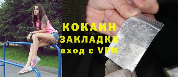 ешки Ельня