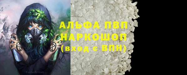 прущий лед Пересвет