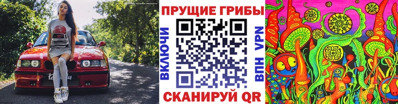 Галлюциногенные грибы ЛСД  МЕГА зеркало  Сланцы 