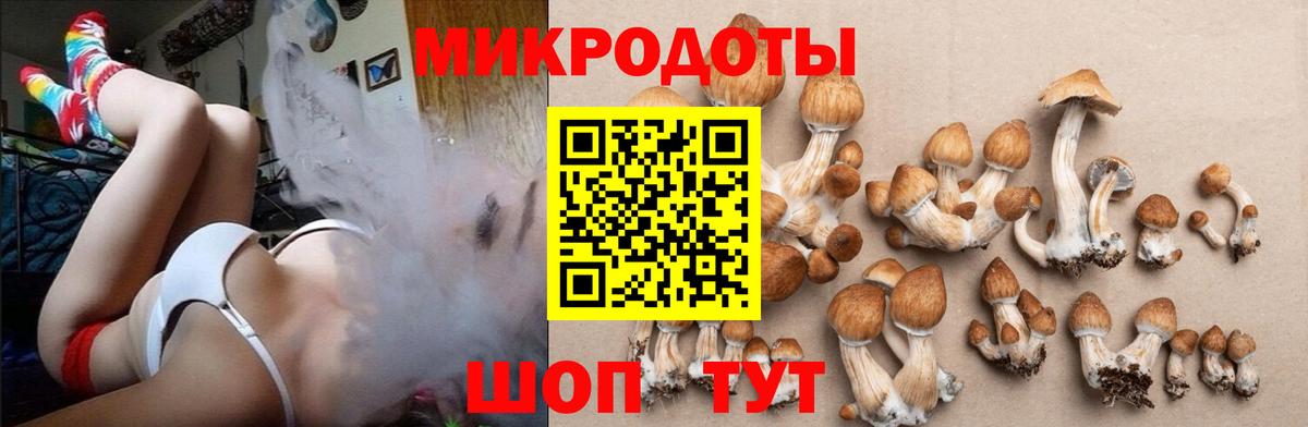 Галлюциногенные грибы мицелий Сланцы