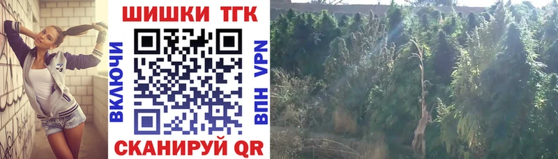 Каннабис план  наркошоп  Сланцы 